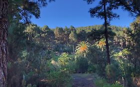 Monte Frio De Tenerife